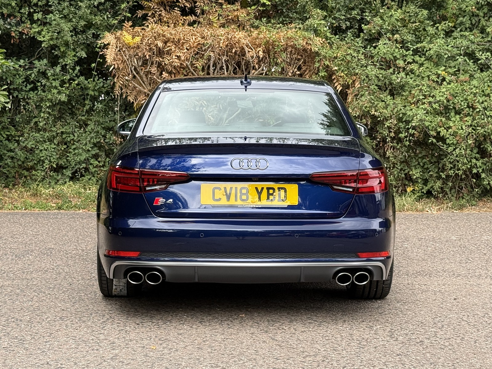 Rear