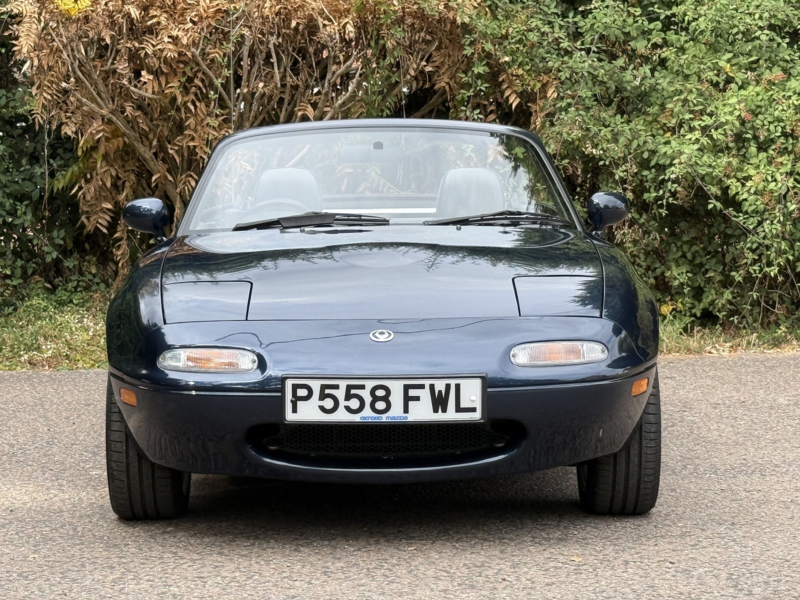 Roof Down Front