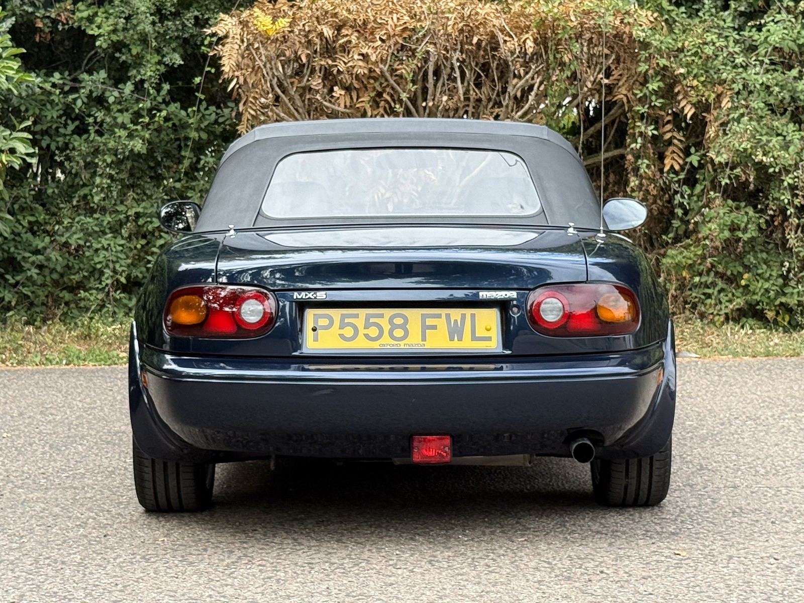 Rear